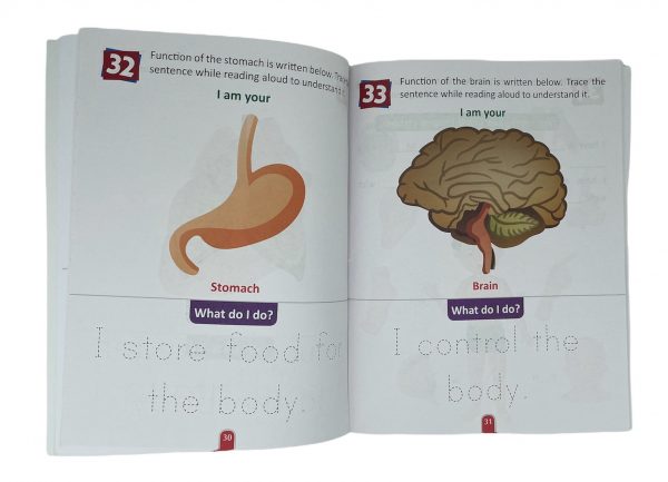 THE WORKBOOK CO. - Human Body - Image 2